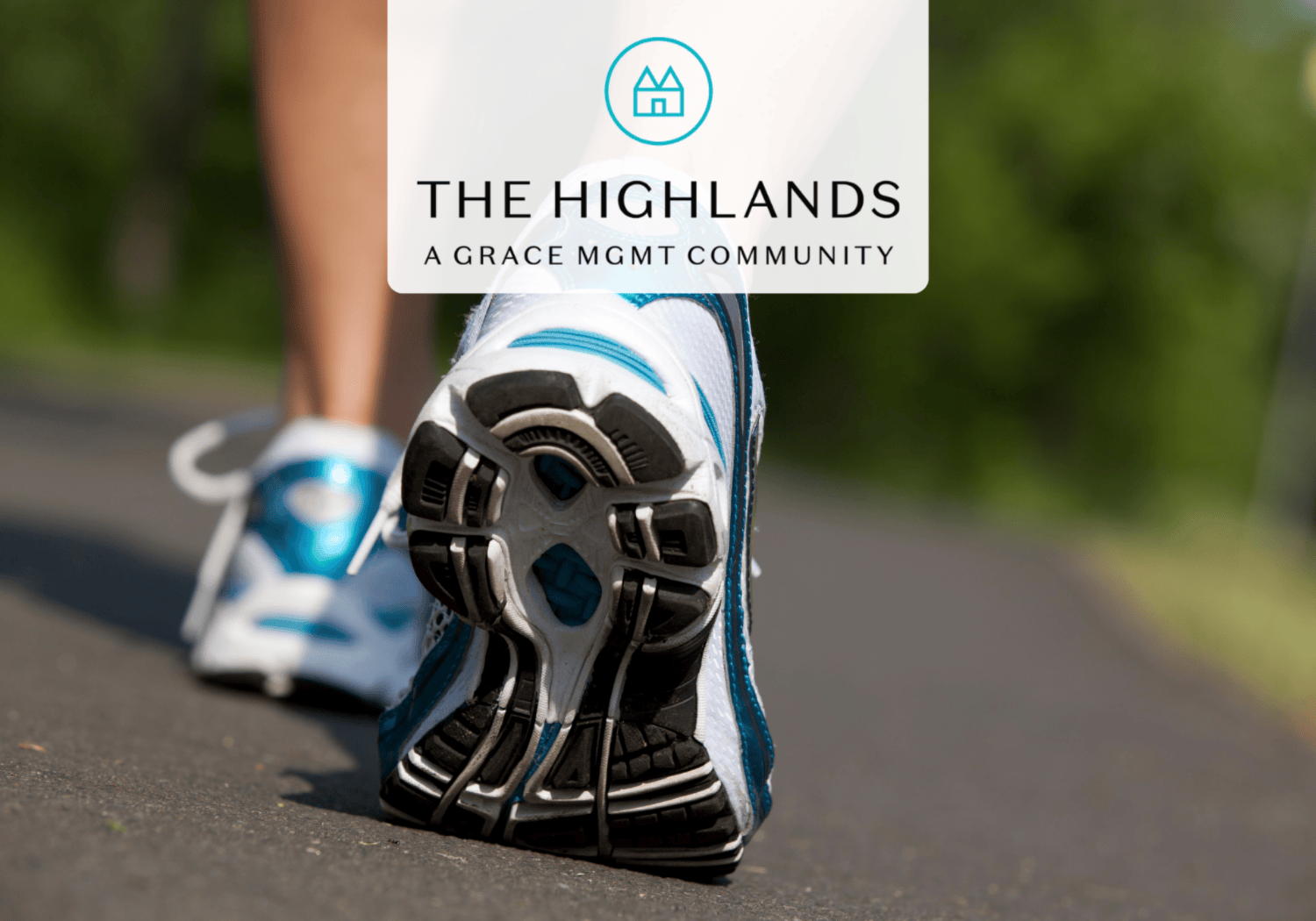 Highlands - ALz walk - The Highlands